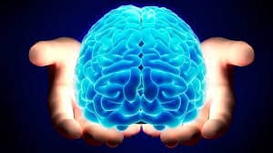 I suggerimenti della neurobiologia per migliorare le riunioni