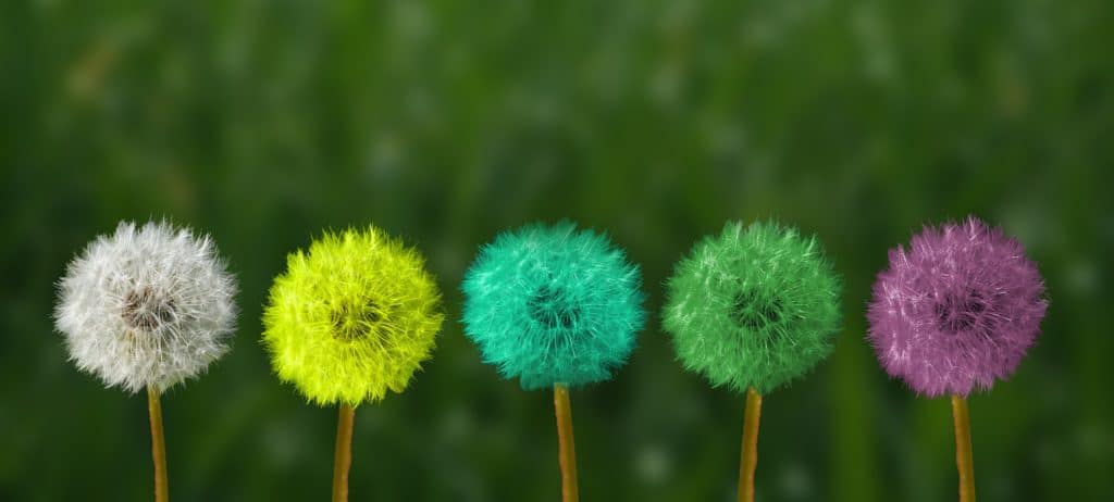 Sperimentare per cambiare, scopri come