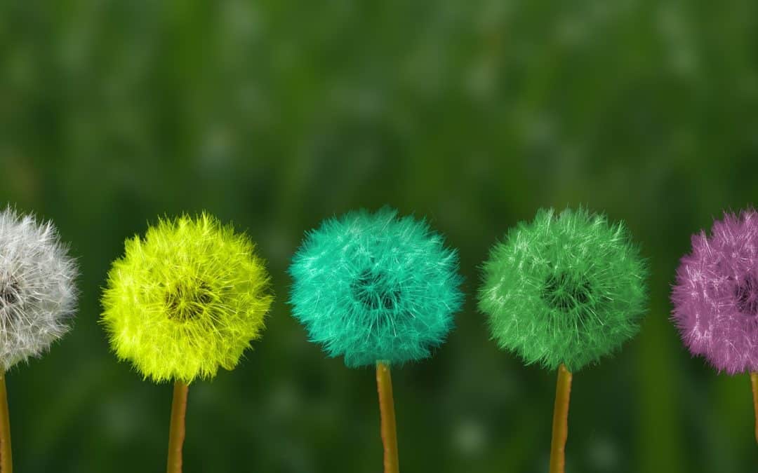 Sperimentare per cambiare, scopri come