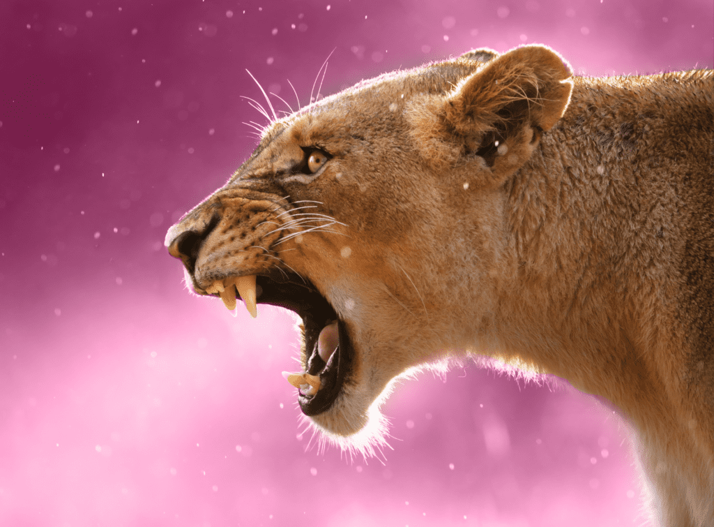 PRIMATE Newsletter – Scopri come trasformare la tua rabbia in energia positiva