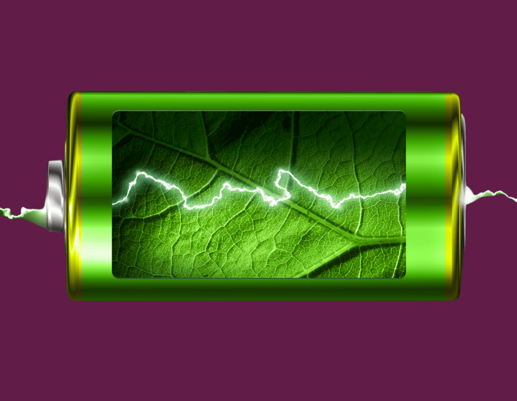 Creare energie umane rinnovabili per vincere la sfida del futuro