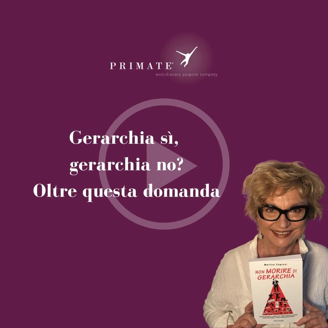 Video 5 – Gerarchia sì, gerarchia no