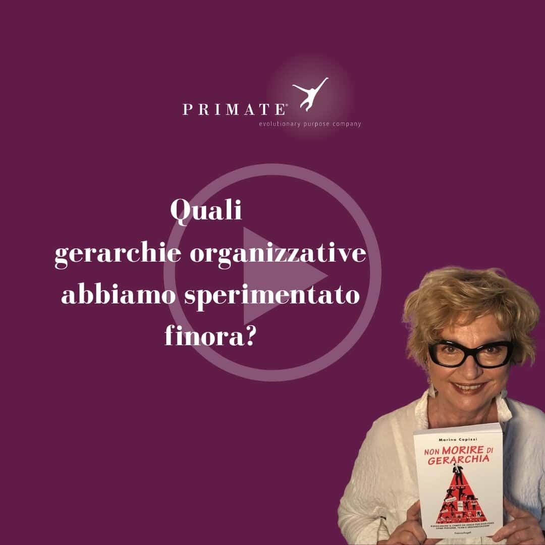 Video 6 – Quali gerarchie organizzative abbiamo sperimentato finora