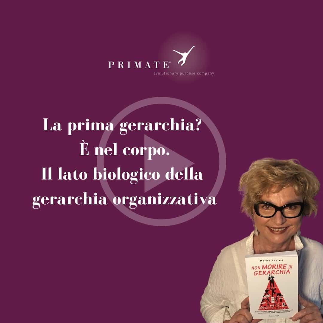 Video 7 – La prima gerarchia è nel corpo