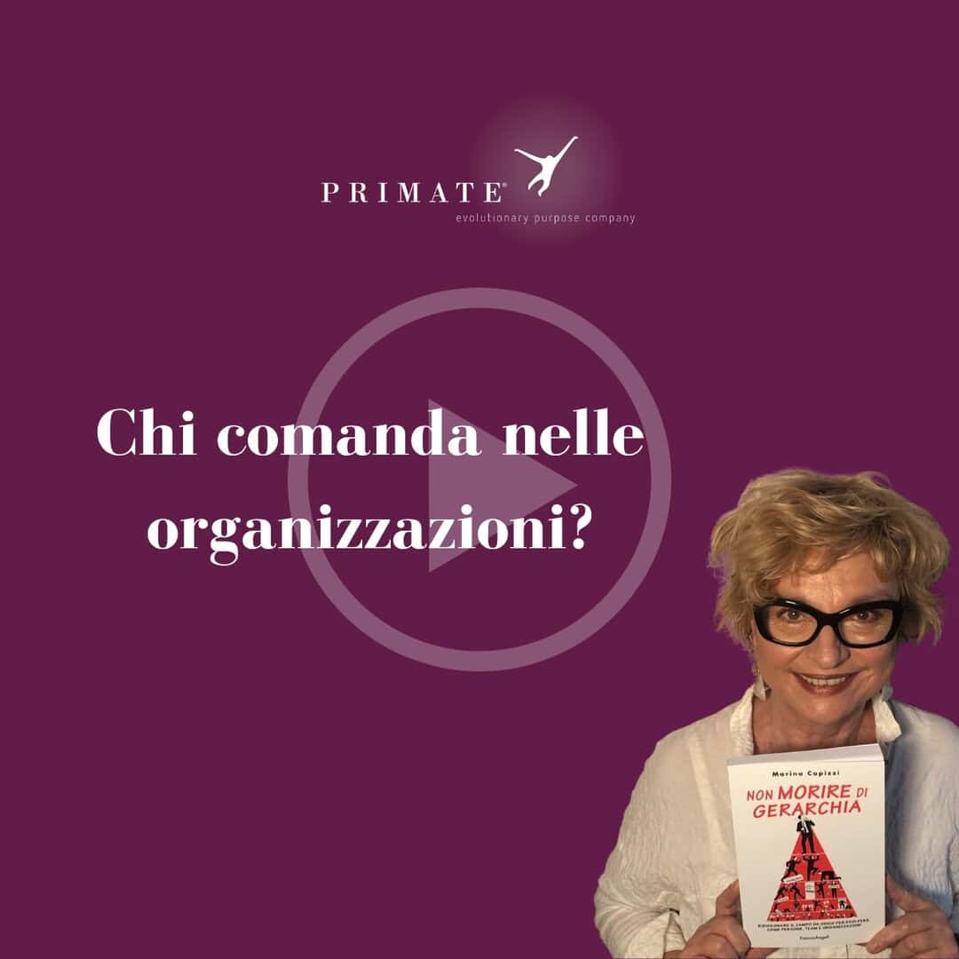 Video 8 – Chi comanda nelle organizzazioni