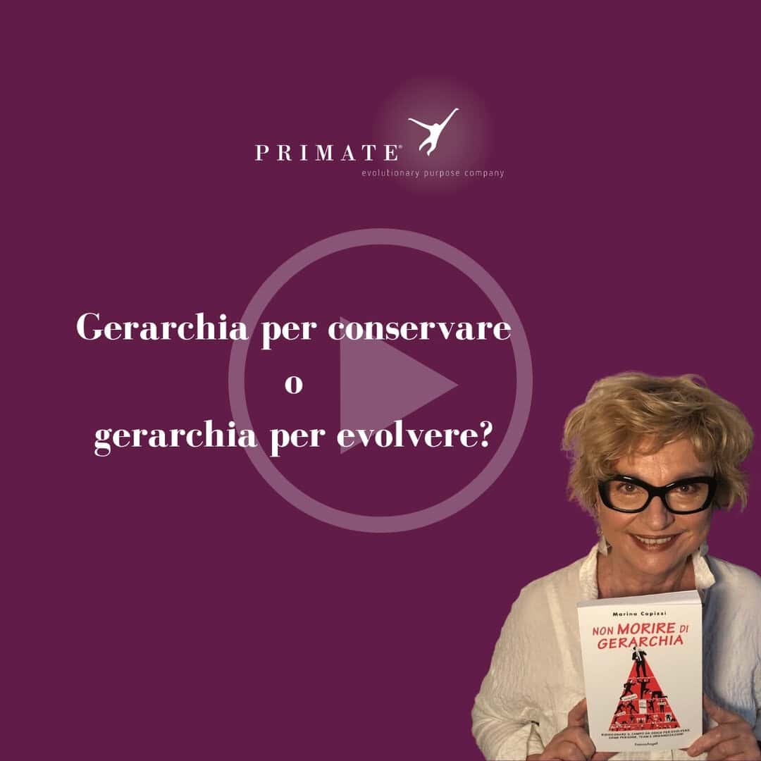 Video 9 – Gerarchia per conservare o gerarchia per evolvere