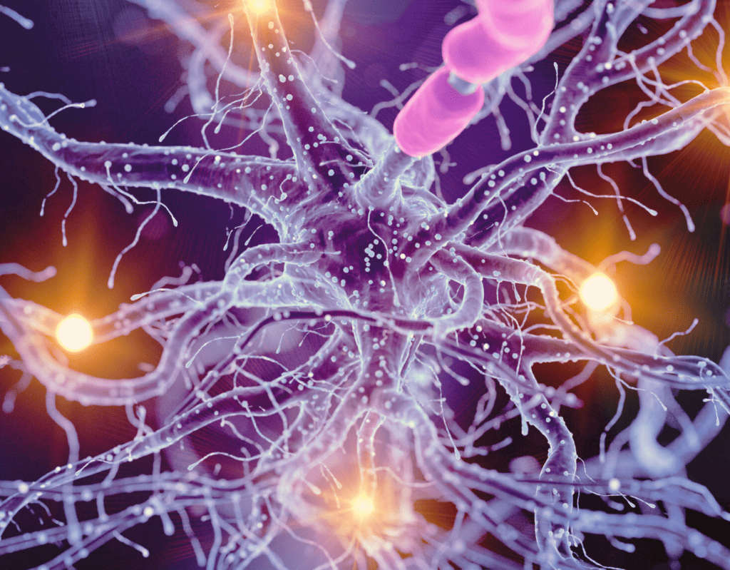 Scopri come il Sistema Nervoso Autonomo può aiutarti a raggiungere i tuoi obiettivi