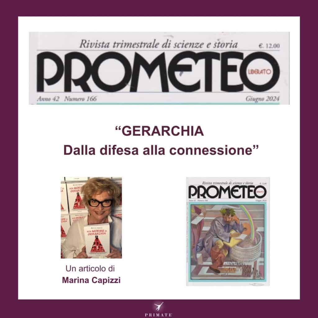 Gerarchia: dalla difesa alla connessione