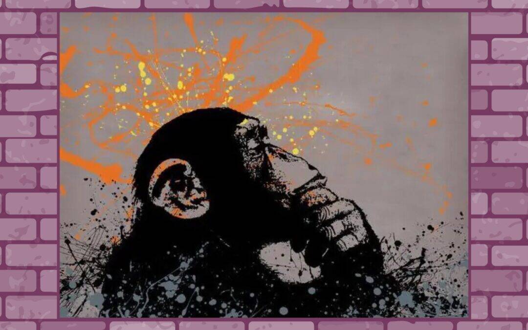 PRIMATE Newsletter – Sai quanto velocemente decidi di fidarti?… attento perché probabilmente ti stai sbagliando