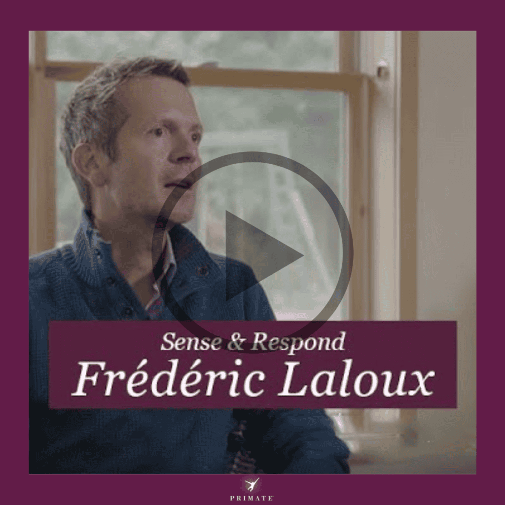 Sense & Respond – Intervista a Frederic Laloux. Marina Capizzi, Tiziano Capelli. Primate Consulting