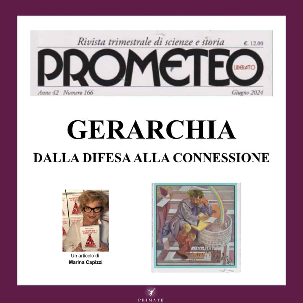 Gerarchia: dalla difesa alla connessione